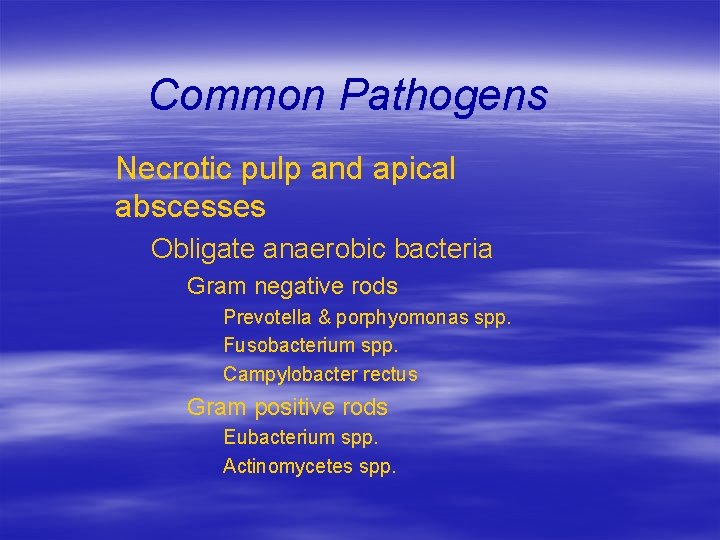 Antibiotic Use In Dentistry Dr Soukaina Ryalat Writing