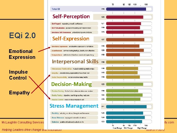 Self-Perception EQi 2. 0 Emotional Expression Impulse Control Self-Expression Interpersonal Skills Decision-Making Empathy Stress