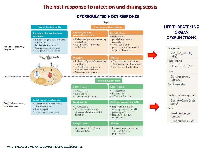 The host response to infection and during sepsis DYSREGULATED HOST RESPONSE LIFE THREATENING ORGAN