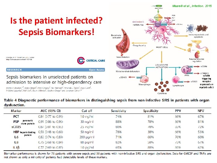 Mearelli et al. , Infection. 2015 Is the patient infected? Sepsis Biomarkers! soluble triggering