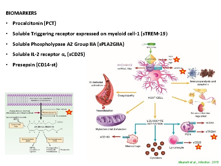 BIOMARKERS • Procalcitonin (PCT) • Soluble Triggering receptor expressed on myeloid cell-1 (s. TREM-19)