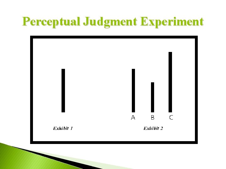 Perceptual Judgment Experiment 