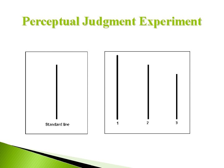 Perceptual Judgment Experiment 