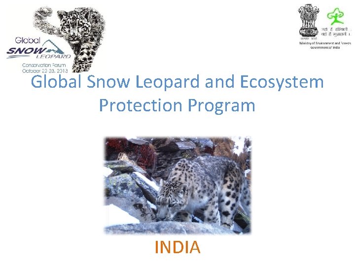 Global Snow Leopard and Ecosystem Protection Program INDIA 