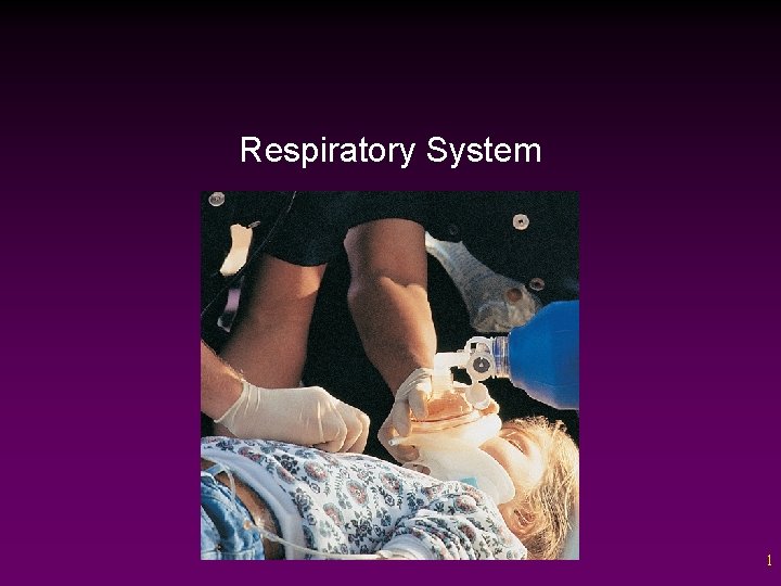 Respiratory System 1 