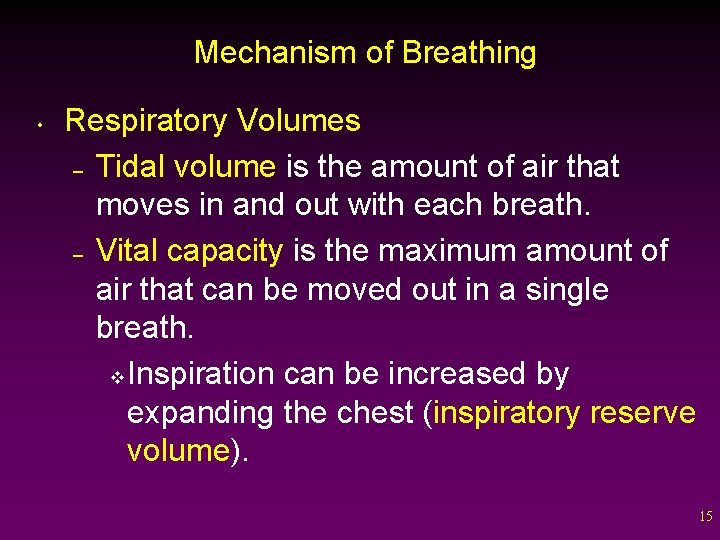 Mechanism of Breathing • Respiratory Volumes – Tidal volume is the amount of air