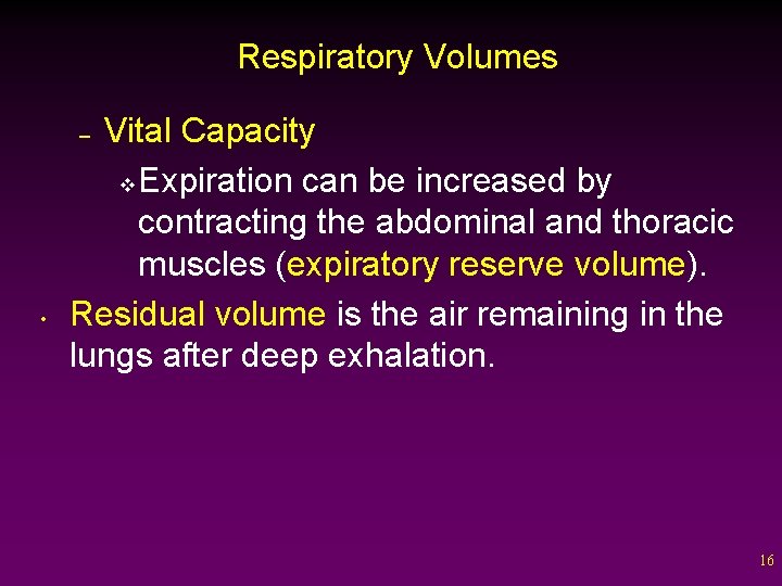 Respiratory Volumes Vital Capacity v Expiration can be increased by contracting the abdominal and