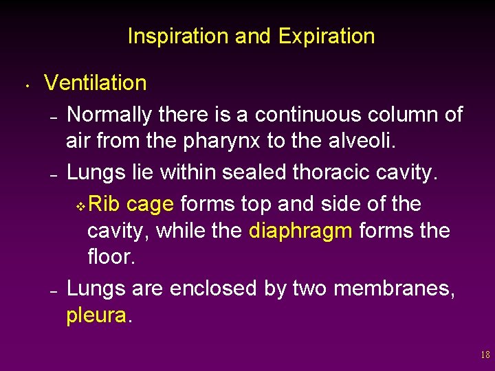Inspiration and Expiration • Ventilation – Normally there is a continuous column of air