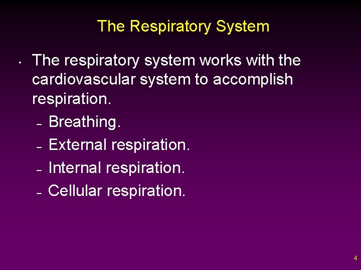 The Respiratory System • The respiratory system works with the cardiovascular system to accomplish