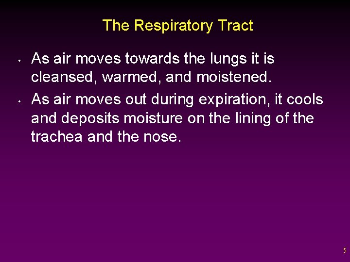 The Respiratory Tract • • As air moves towards the lungs it is cleansed,