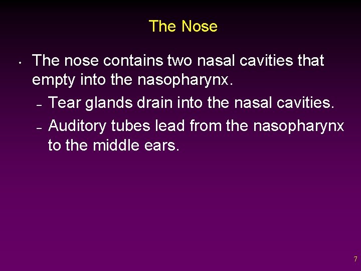 The Nose • The nose contains two nasal cavities that empty into the nasopharynx.