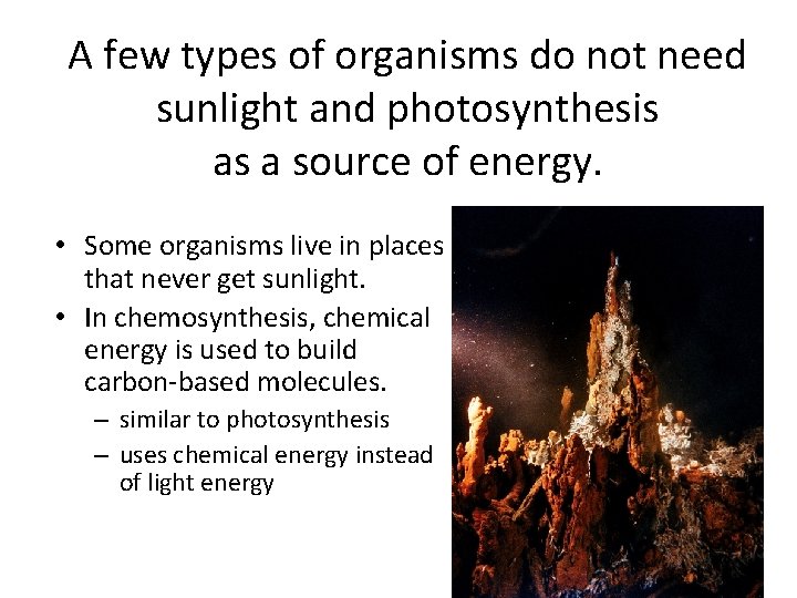 A few types of organisms do not need sunlight and photosynthesis as a source