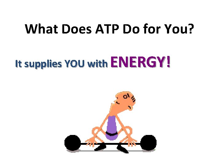 What Does ATP Do for You? It supplies YOU with ENERGY! 
