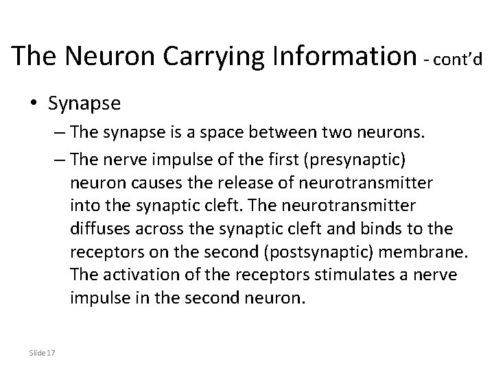 The Neuron Carrying Information - cont’d • Synapse – The synapse is a space The Neuron Carrying Information - cont’d • Synapse – The synapse is a space
