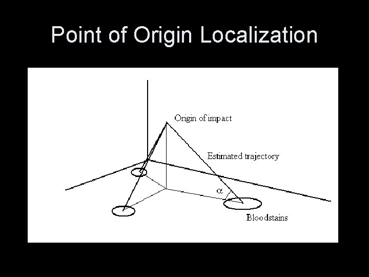 Origin Point Treatment Toward Automatic Blood Spatter Analysis in Crime Scenes