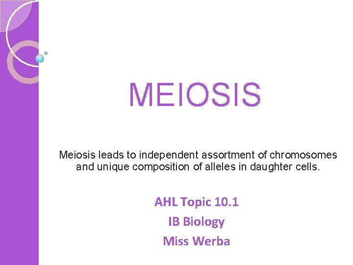 MEIOSIS Meiosis leads to independent assortment of chromosomes and unique composition of alleles in MEIOSIS Meiosis leads to independent assortment of chromosomes and unique composition of alleles in
