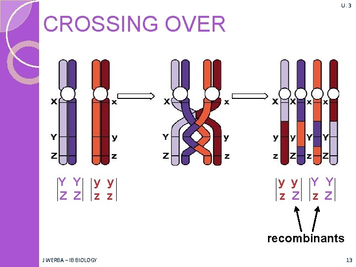 U. 3 CROSSING OVER Y Y Z Z y y z z y y