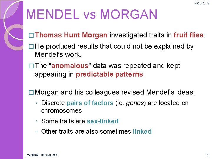 NOS 1. 8 MENDEL vs MORGAN � Thomas Hunt Morgan investigated traits in fruit