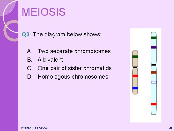 MEIOSIS Q 3. The diagram below shows: A. B. C. D. Two separate chromosomes