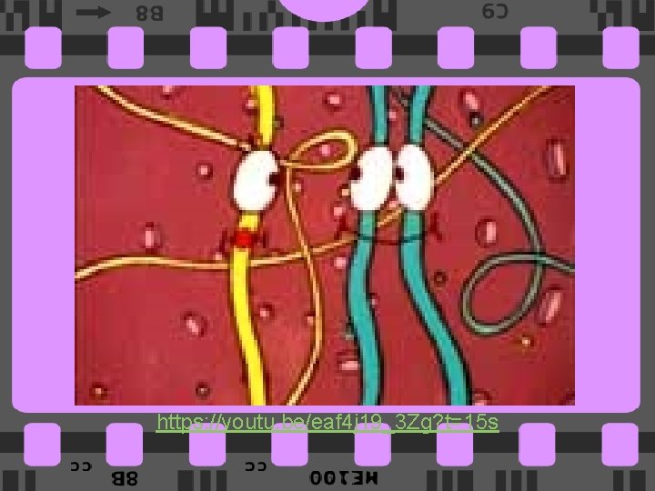 https: //youtu. be/eaf 4 j 19_3 Zg? t=15 s https: //youtu. be/eaf 4 j 19_3 Zg? t=15 s