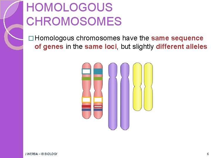 HOMOLOGOUS CHROMOSOMES � Homologous chromosomes have the same sequence of genes in the same