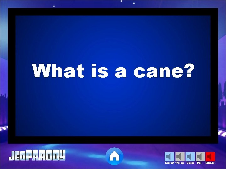 What is a cane? Correct Wrong Cheer Boo Silence 