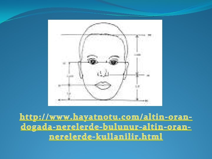 http: //www. hayatnotu. com/altin-orandogada-nerelerde-bulunur-altin-orannerelerde-kullanilir. html 