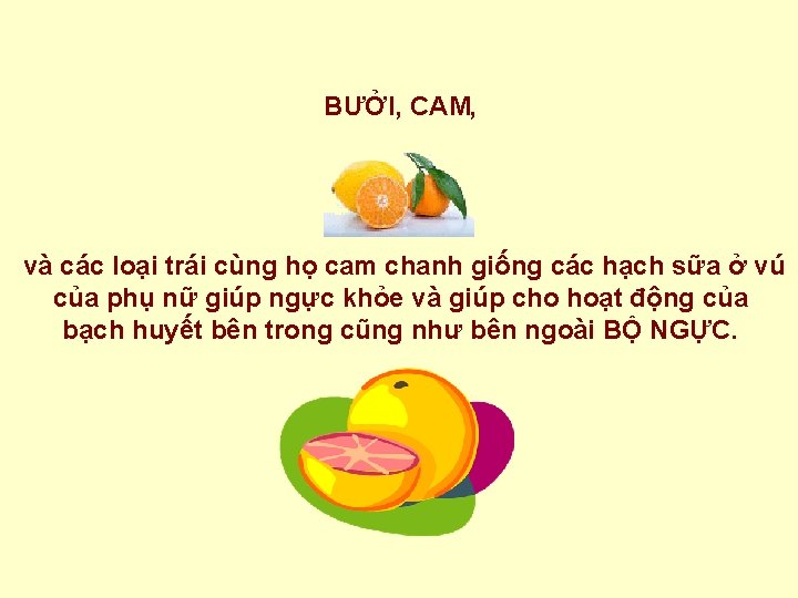 BƯỞI, CAM, và các loại trái cùng họ cam chanh giống các hạch sữa