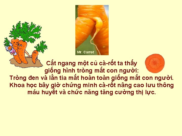 Mr. Carrot Cắt ngang một củ cà-rốt ta thấy giống hình tròng mắt con