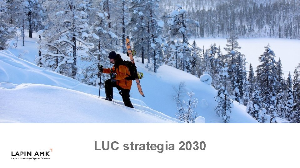 LUC strategia 2030 