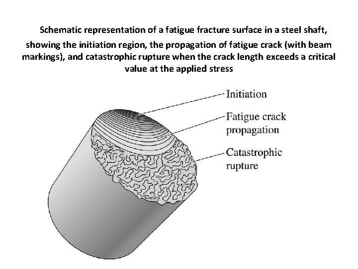 Schematic representation of a fatigue fracture surface in a steel shaft, showing the initiation