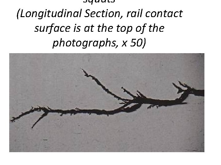 squats (Longitudinal Section, rail contact surface is at the top of the photographs, x