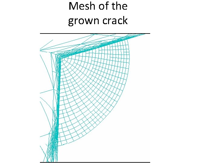 Mesh of the grown crack 