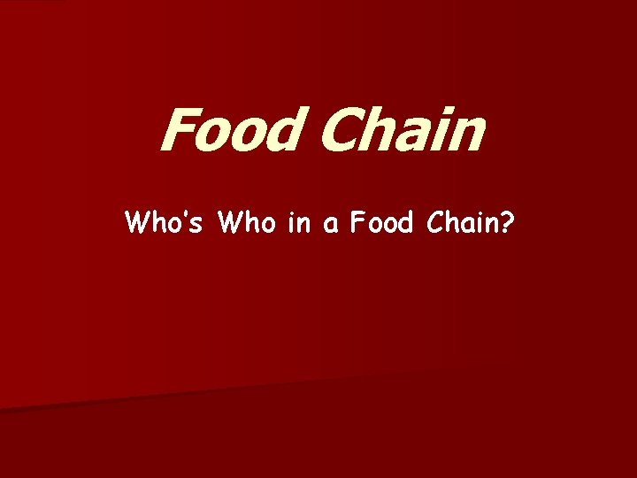 Food Chain Who’s Who in a Food Chain? 