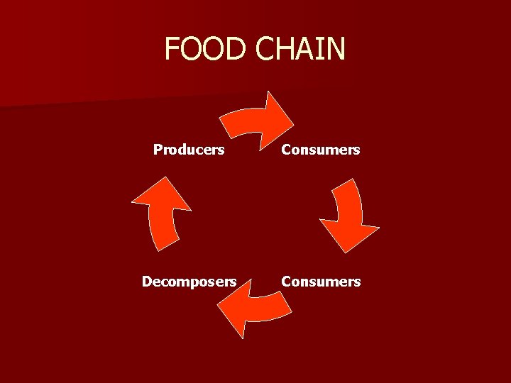 FOOD CHAIN Producers Consumers Decomposers Consumers 