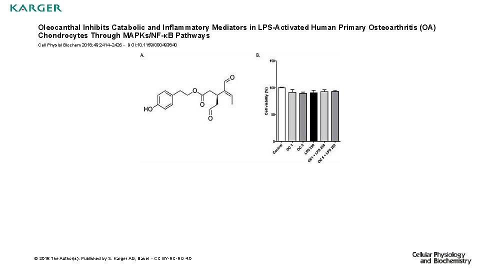 Oleocanthal Inhibits Catabolic and Inflammatory Mediators in LPS-Activated Human Primary Osteoarthritis (OA) Chondrocytes Through