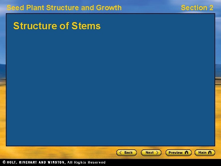 Seed Plant Structure and Growth Structure of Stems Section 2 
