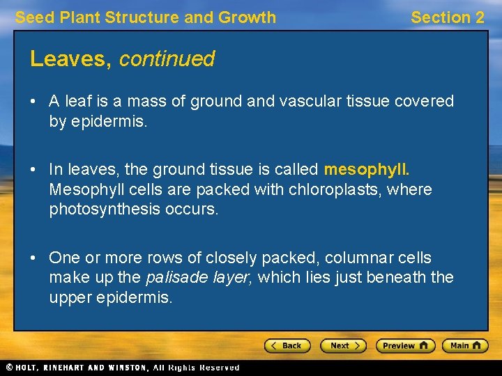Seed Plant Structure and Growth Section 2 Leaves, continued • A leaf is a