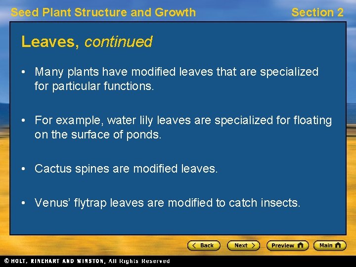 Seed Plant Structure and Growth Section 2 Leaves, continued • Many plants have modified