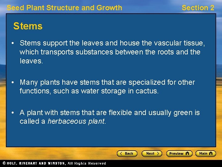 Seed Plant Structure and Growth Section 2 Stems • Stems support the leaves and
