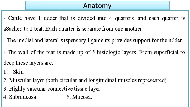 Anatomy - Cattle have 1 udder that is divided into 4 quarters, and each