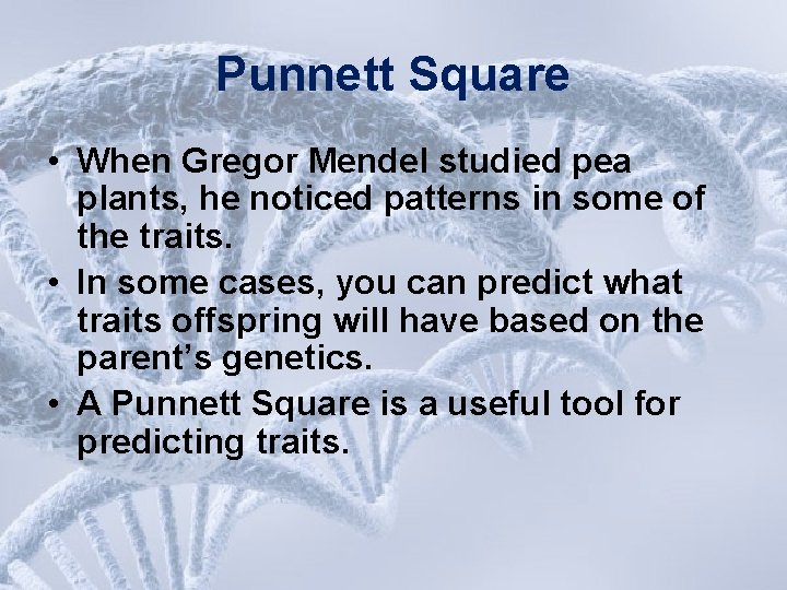 Punnett Square • When Gregor Mendel studied pea plants, he noticed patterns in some