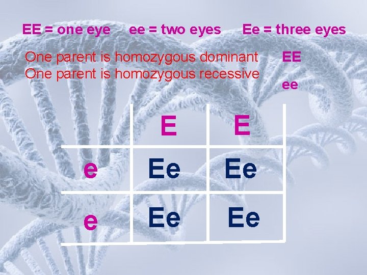 EE = one eye ee = two eyes Ee = three eyes One parent