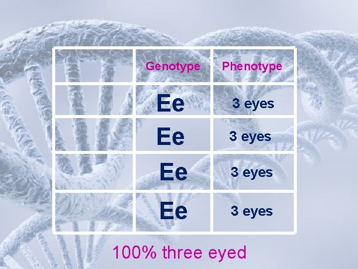 Genotype Phenotype Ee Ee Ee 3 eyes 100% three eyed 
