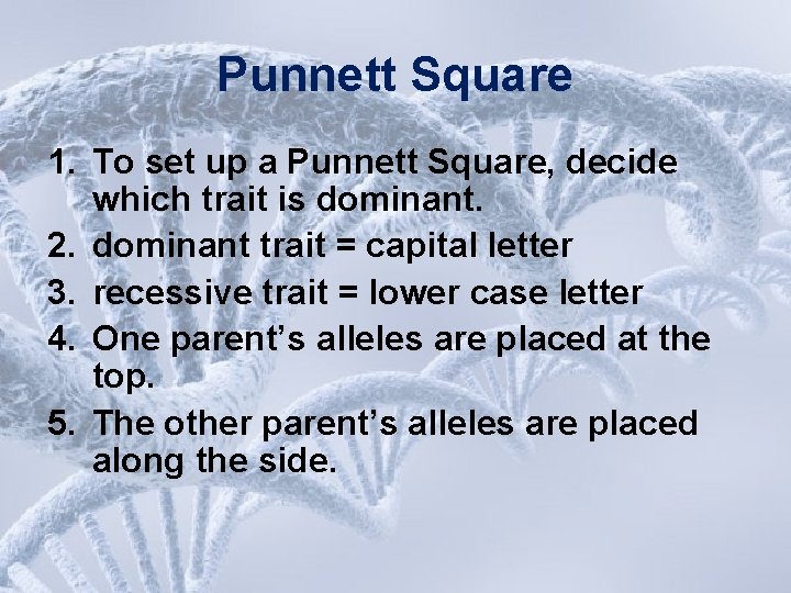 Punnett Square 1. To set up a Punnett Square, decide which trait is dominant.