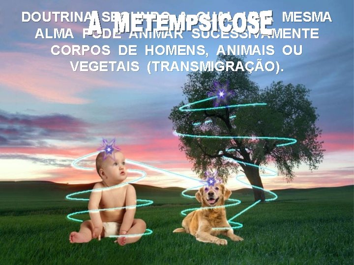 DOUTRINA SEGUNDO A QUAL UMA MESMA ALMA PODE ANIMAR SUCESSIVAMENTE CORPOS DE HOMENS, ANIMAIS