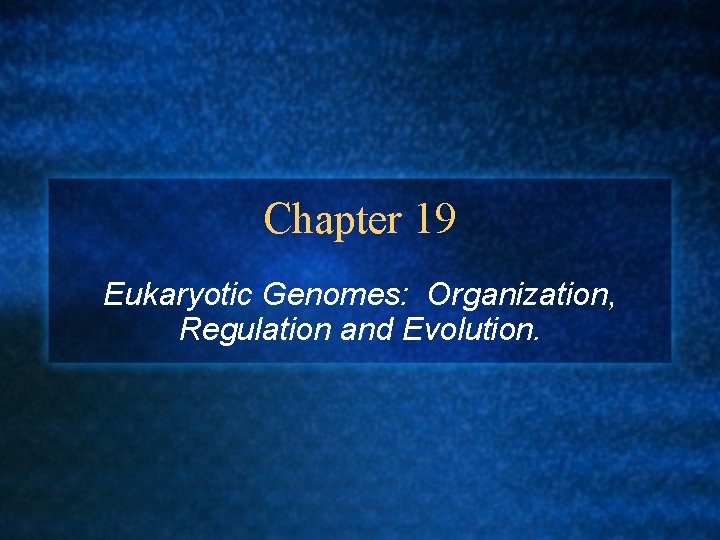 Chapter 19 Eukaryotic Genomes: Organization, Regulation and Evolution. 