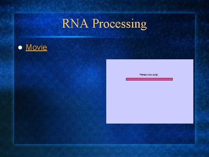 RNA Processing l Movie 