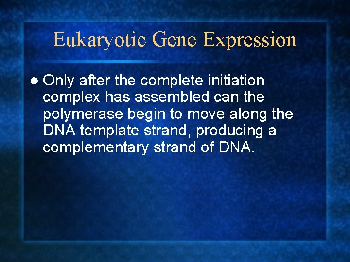 Eukaryotic Gene Expression l Only after the complete initiation complex has assembled can the