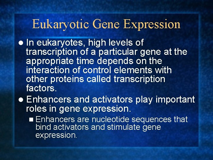 Eukaryotic Gene Expression l In eukaryotes, high levels of transcription of a particular gene